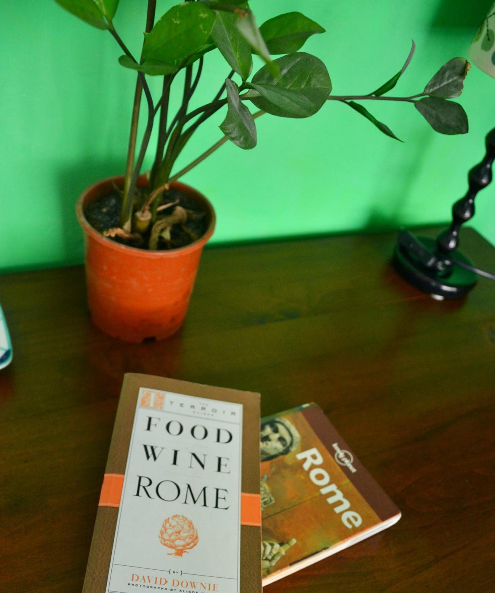 4321 B&B Stazione Trastevere 罗马 外观 照片